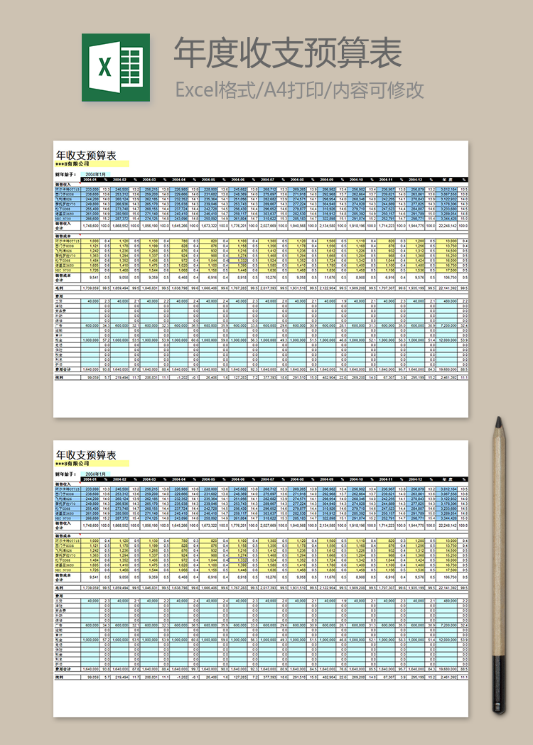 年度收支预算表