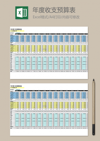 年度收支预算表