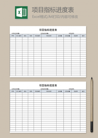 项目指标进度表