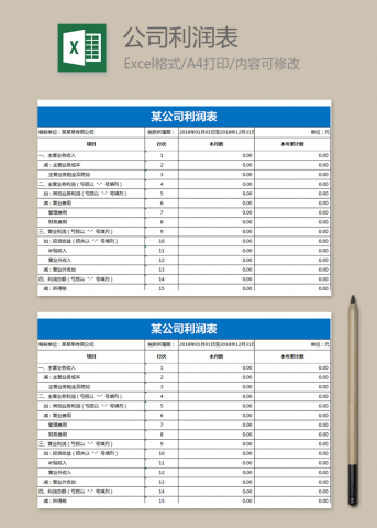 公司利润明细表