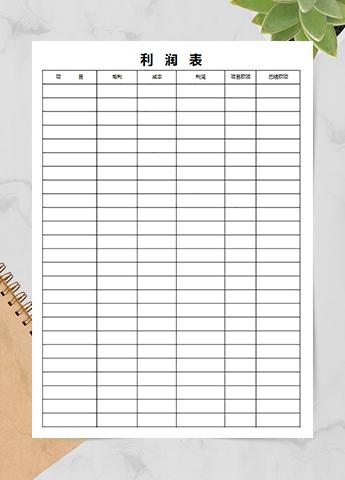 白色通用利润表