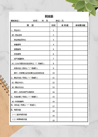 简单通用利润表