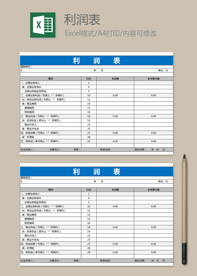 蓝色通用利润表