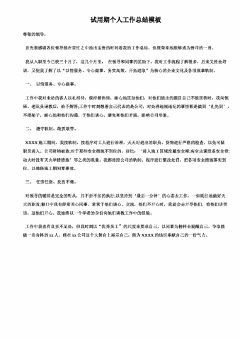 试用期工作总结模板