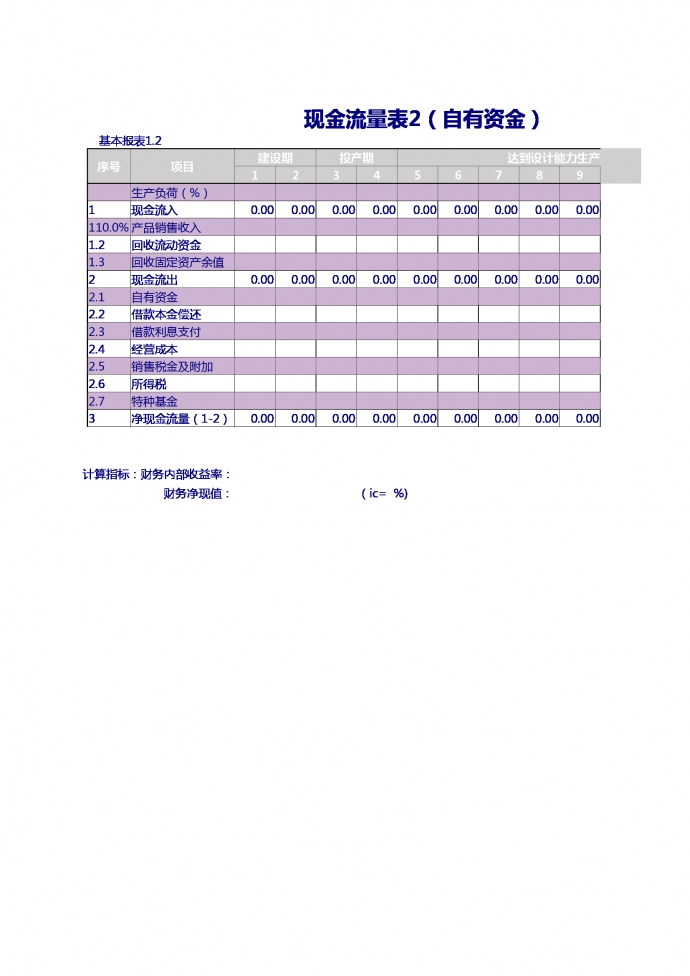 现金流量表（自有资金）Excel模板