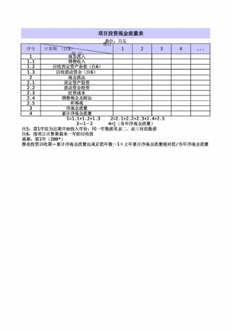 项目投资现金流量表