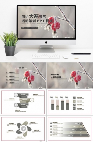 浅色系简约大寒节气活动策划PPT模板