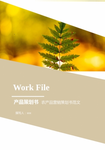 农产品营销策划书范文