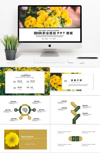 唯美简约风职业规划