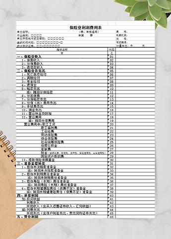 保险业利润费用表