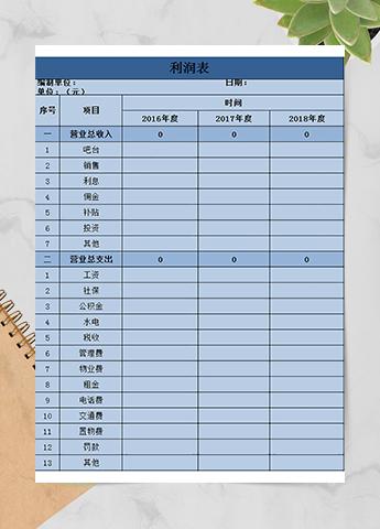 蓝色公司利润表