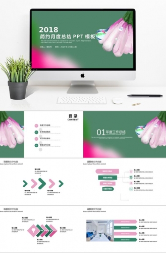 简约清新月度工作总结汇报