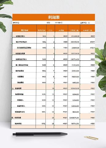 桔红风格企业利润详细表模板