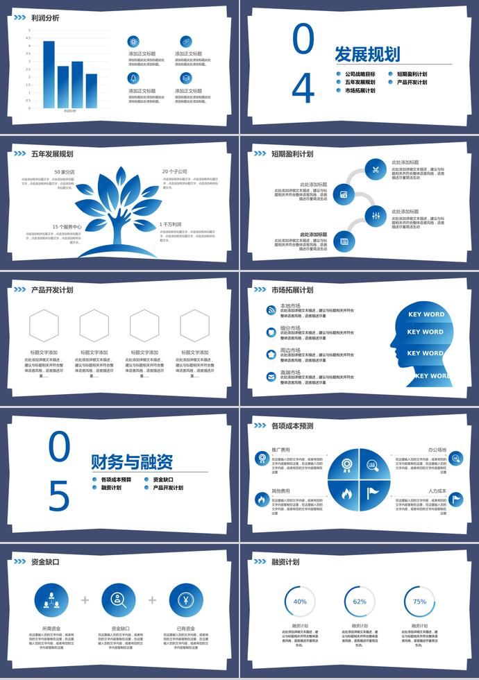 蓝色简约项目策划计划书PPT模板-2