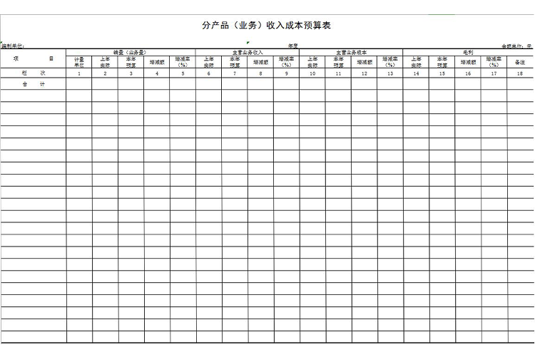 产品收入成本预算表-1