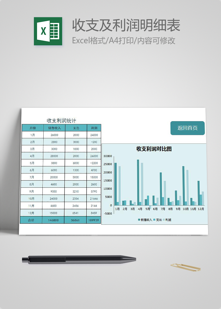 蓝色收支及利润明细表