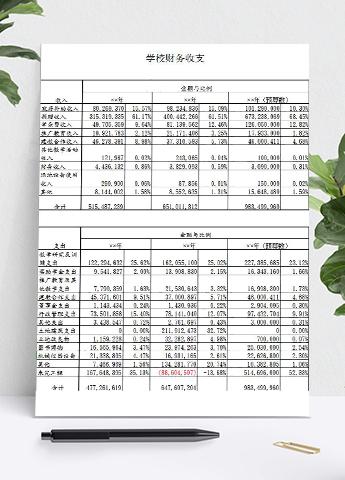 年度学校财务收支明细比例表