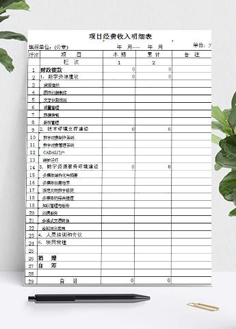 项目经费收入明细表