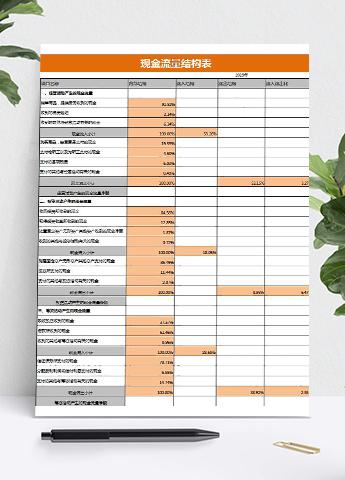 菊红现金流量结构表模板