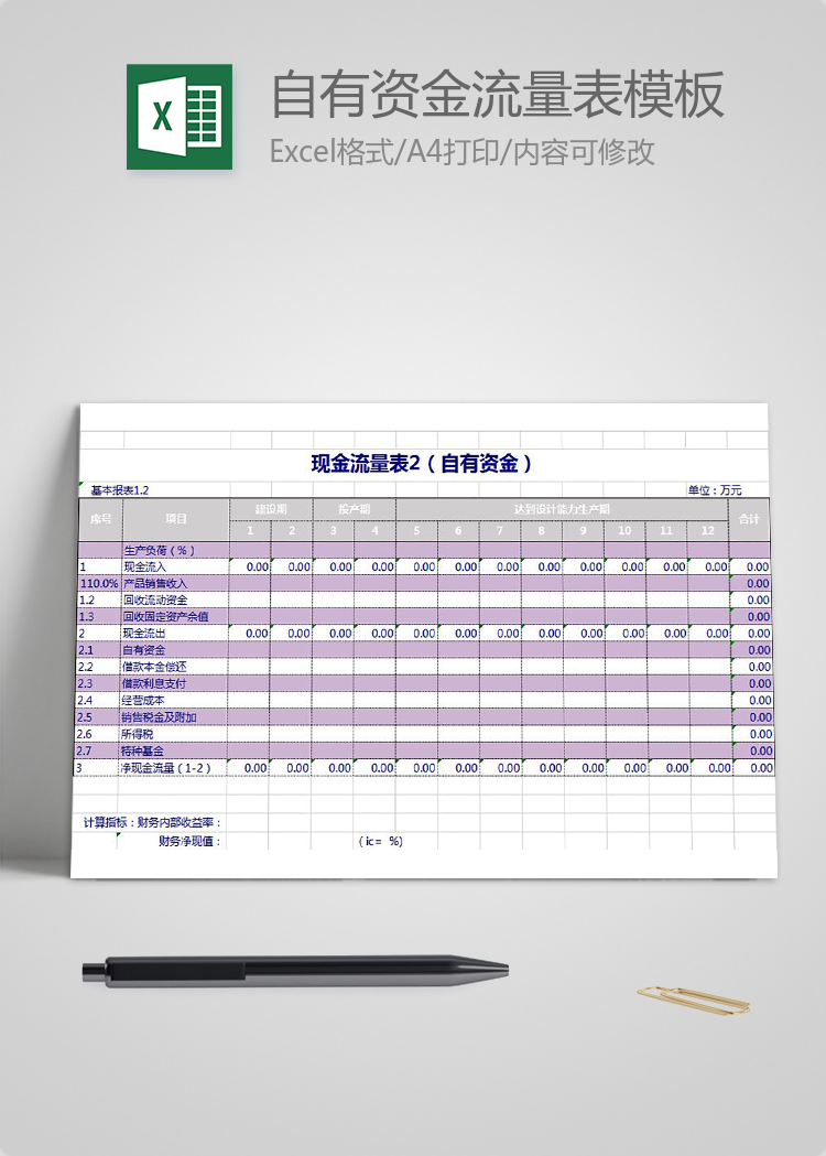 紫色自有资金流量表Excel模板