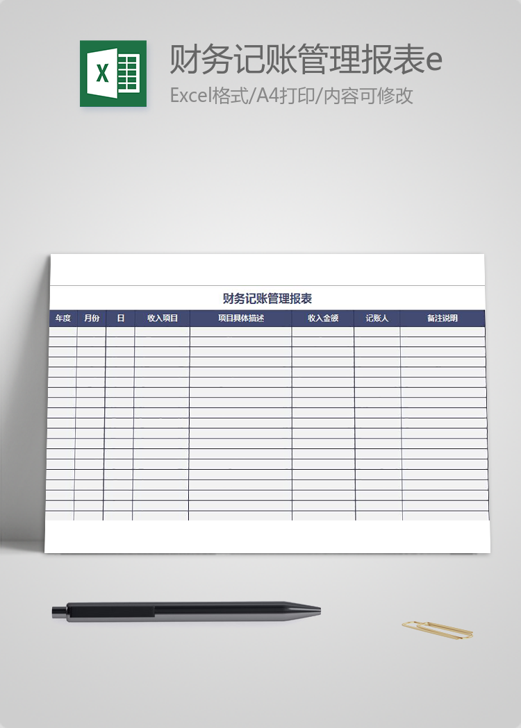财务记账管理报表excel模板
