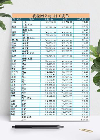 月度员工工资表模板