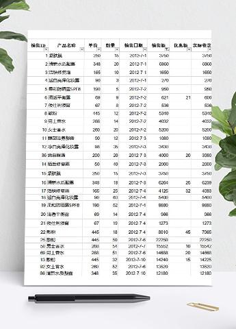 自定义筛选销售记录表模板