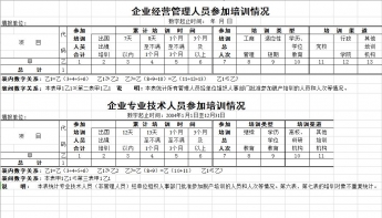 企业人员培训情况表