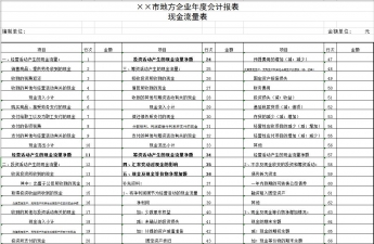 现金流量表模板