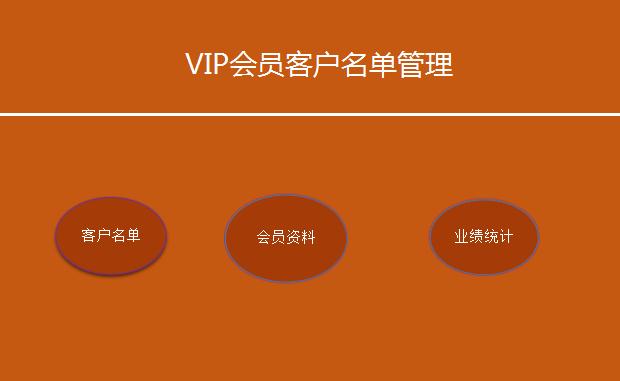 VIP会员客户名单管理系统excel模板