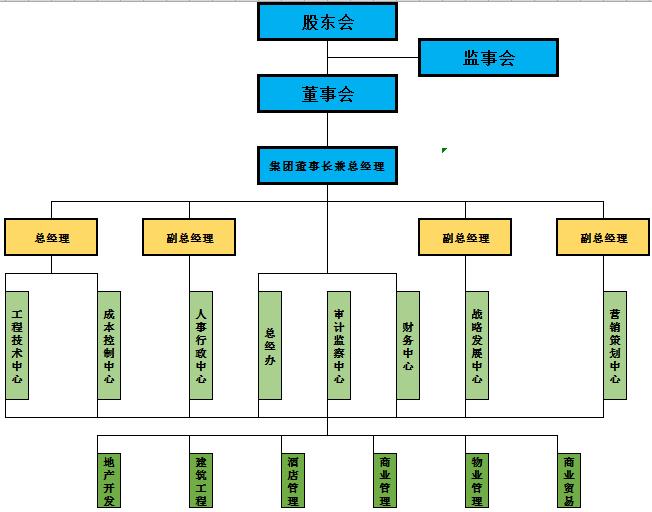 彩色集团公司组织架构图excel模板