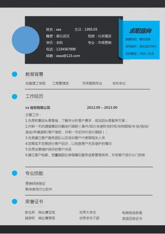 大气售后咨询个人求职简历模板