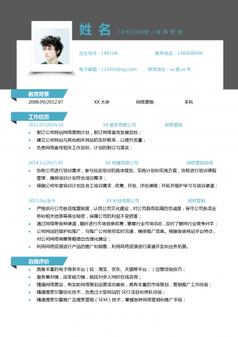 大气商务风网络营销专员简历