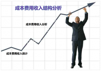销售成本费用收入结构分析系统