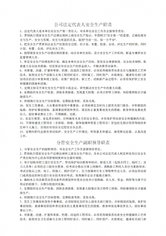 公司法定代表人安全生产职责概述word模板