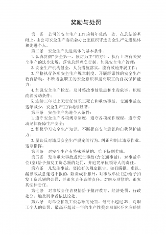 奖励与处罚管理条例word模板