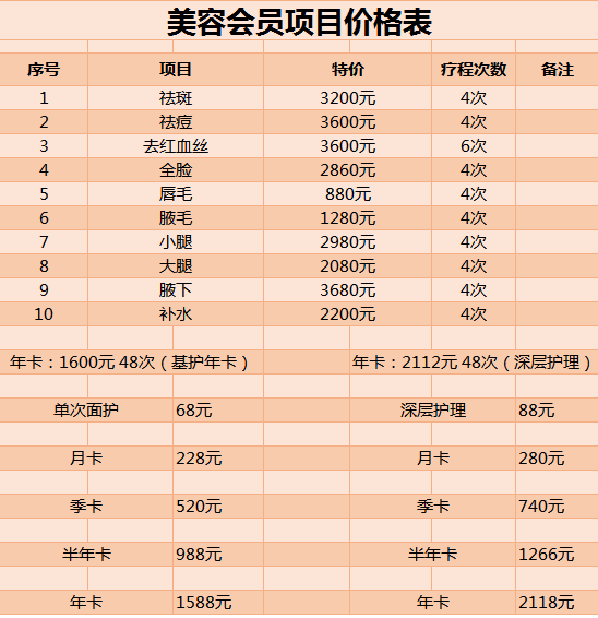 美容项目价格表excel模板