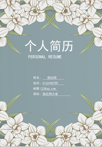 清新花纹大学生个人简历word简历模板
