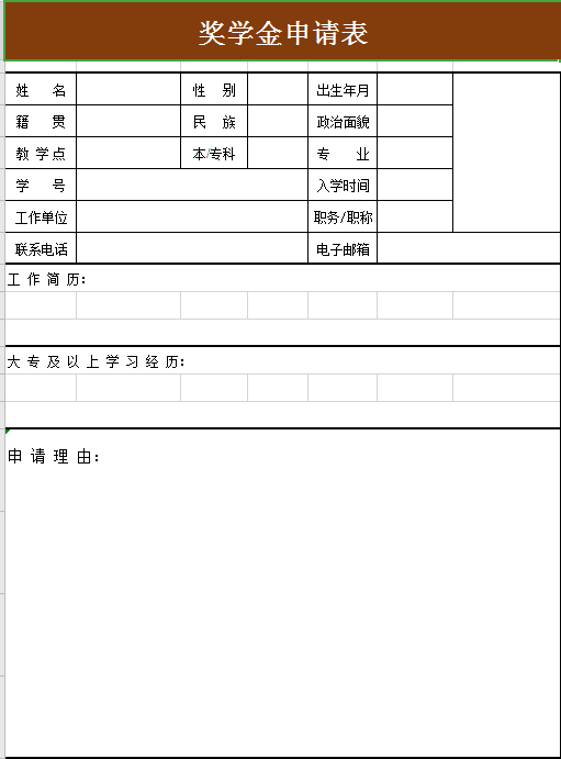 奖学金申请表格excel模板