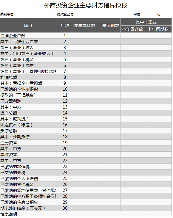 外商投资财务指标报表excel模板