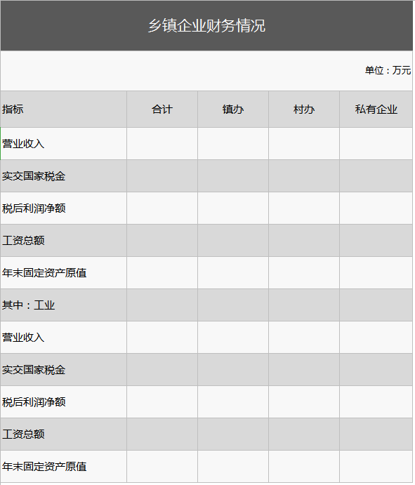 乡镇企业财务情况excel模板