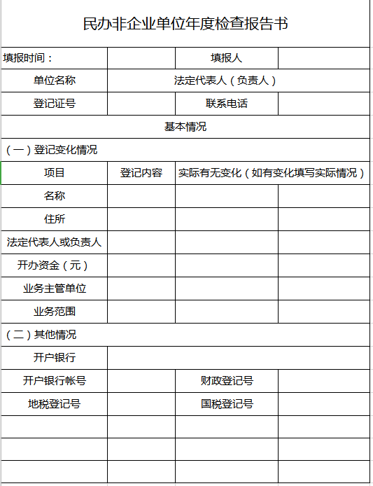 民办非企业单位年度检查报告书excel模板