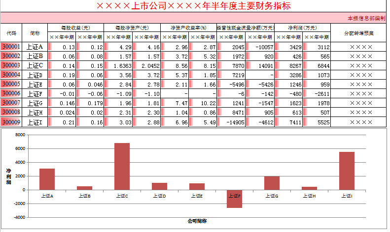 半年度财务指标excel模板