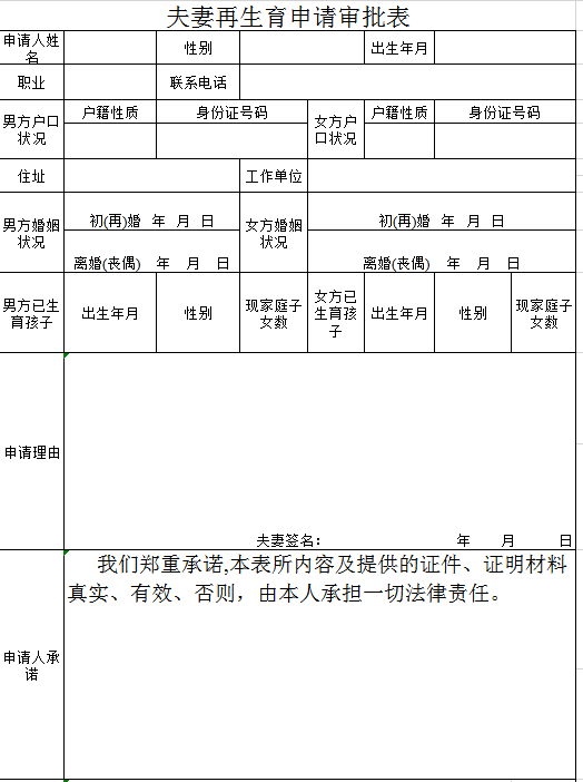 夫妻再生育申请审批表excel模板