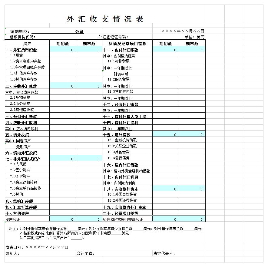 外汇收支情况表excel模板