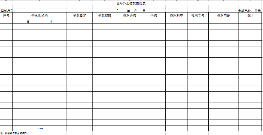 境外外汇借款情况表excel模板