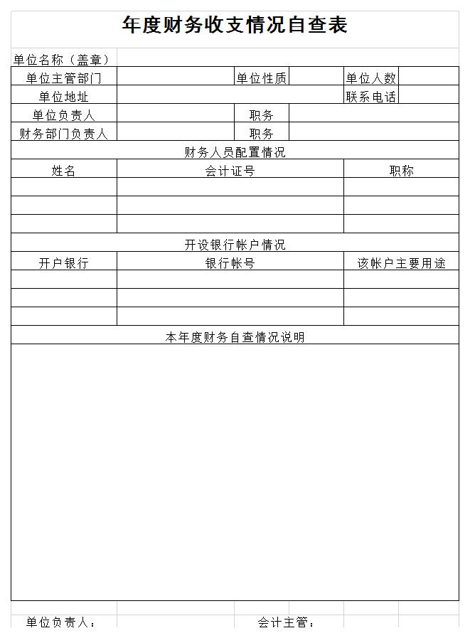 年度财务收支自查表excel模板