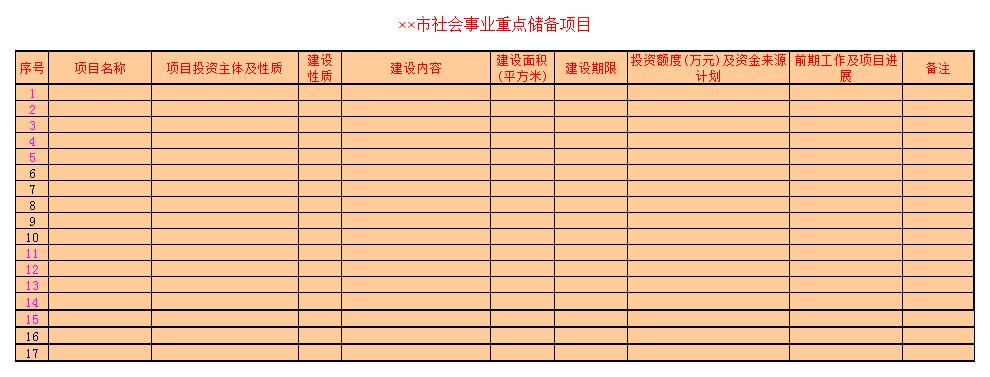 社会事业重点储备项目excel模板