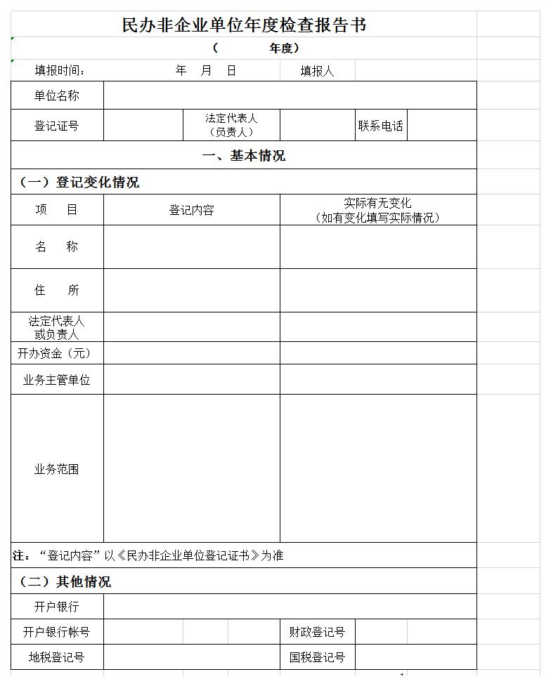 民办非企业单位年度检查报告书excel模板