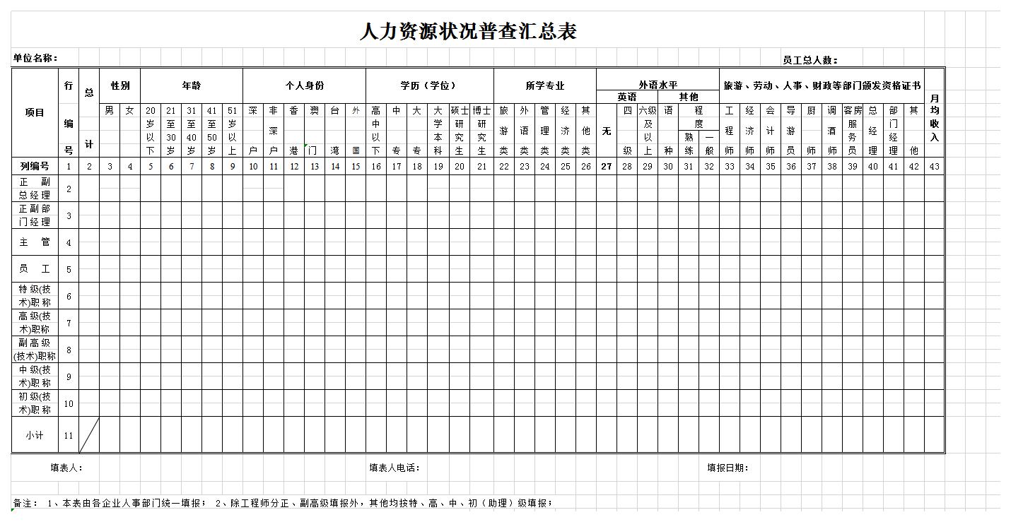 人力资源状况普查汇总表excel模板